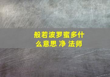 般若波罗蜜多什么意思 净 法师